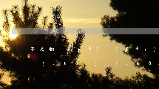 不交物業(yè)費(fèi)能辦理不動產(chǎn)產(chǎn)權(quán)嗎？